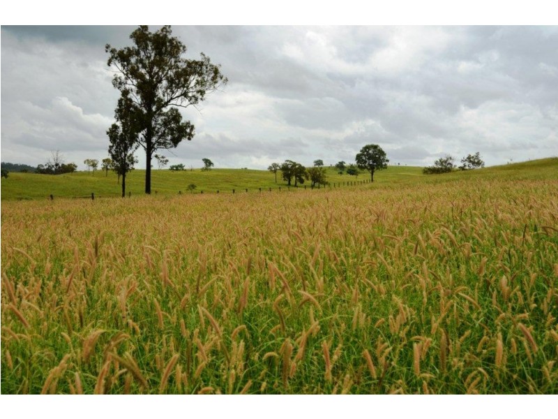 3135 Beeron Road, Mundubbera QLD 4626