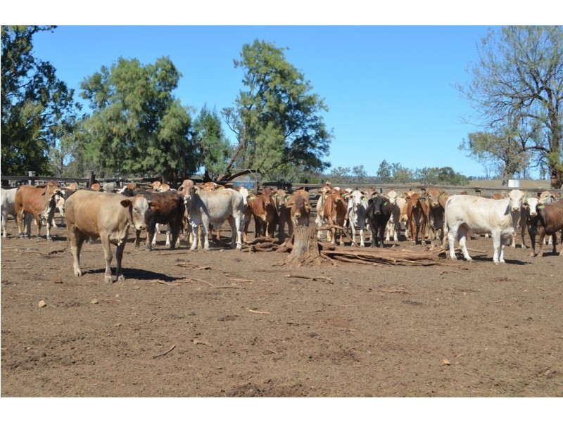 3135 Beeron Road, Mundubbera QLD 4626