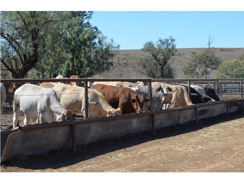 3135 Beeron Road, Mundubbera QLD 4626