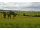 3135 Beeron Road, Mundubbera QLD 4626