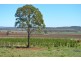 245 Woods Road, Wooroolin QLD 4608
