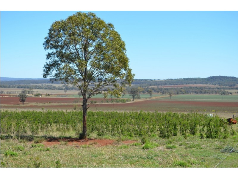 245 Woods Road, Wooroolin QLD 4608