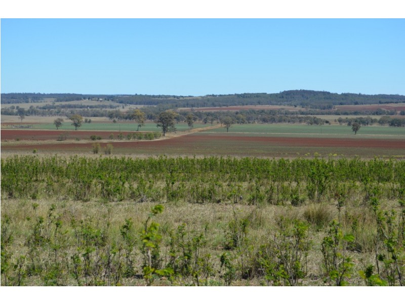 245 Woods Road, Wooroolin QLD 4608
