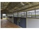 682 Wiemers Road, Broxburn QLD 4356