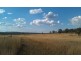 682 Wiemers Road, Broxburn QLD 4356
