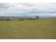 682 Wiemers Road, Broxburn QLD 4356