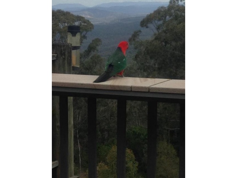 3 Rangeview Road, Blue Mountain Heights QLD 4350