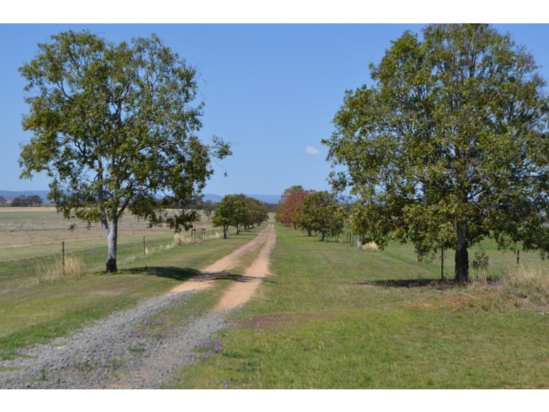 1889 Warwick-Allora Road, Deuchar QLD 4362