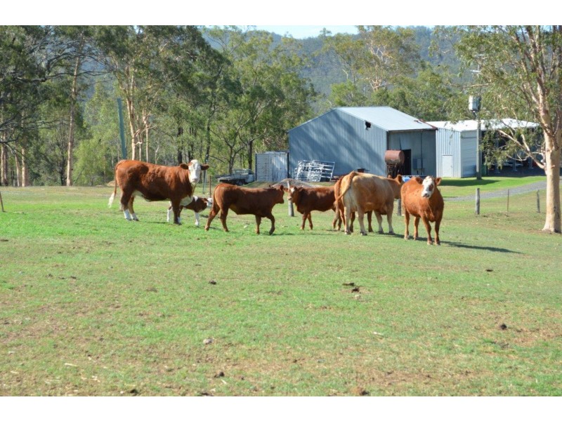 65 Ossian Street, Murphys Creek QLD 4352