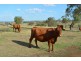 388 Berghoffers Road, Biddeston QLD 4401
