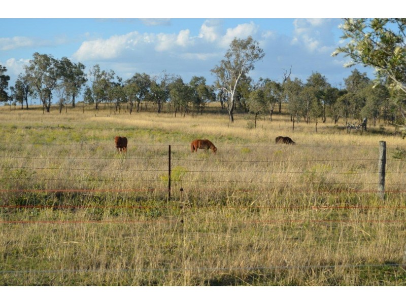 388 Berghoffers Road, Biddeston QLD 4401