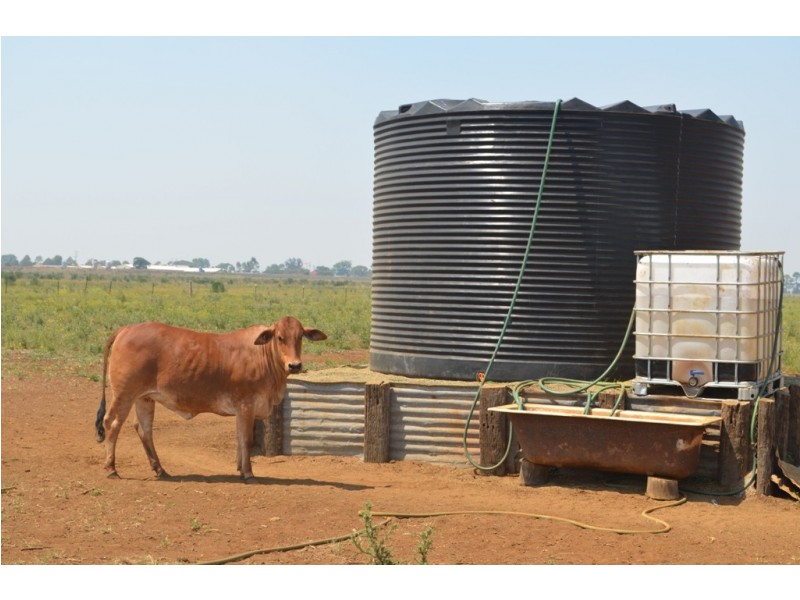 0 Willow Springs Road, Clifton QLD 4361