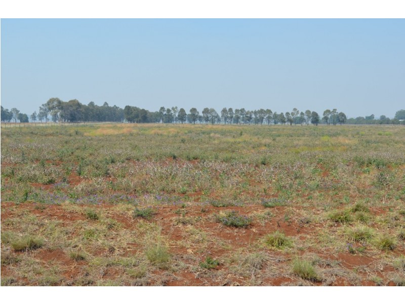 0 Willow Springs Road, Clifton QLD 4361