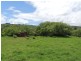 182 Hogers Road, Ropeley QLD 4343