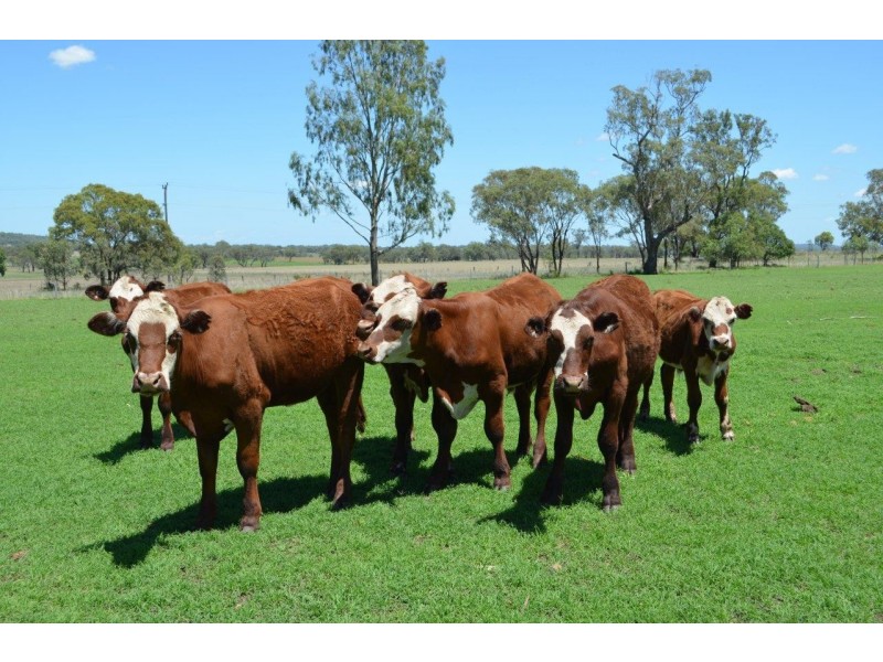 85 Biddeston-Southbrook Road, Biddeston QLD 4401