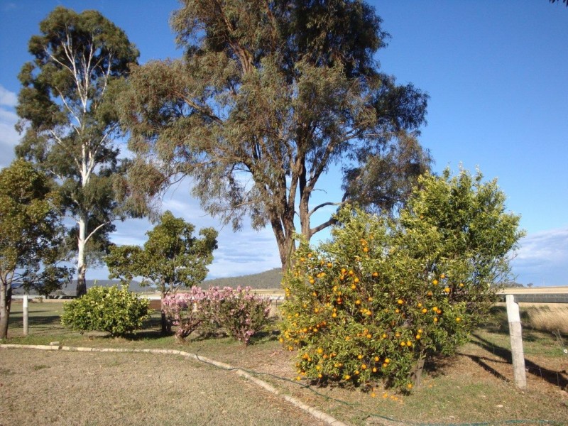 56 Newport Road, Headington Hill QLD 4361