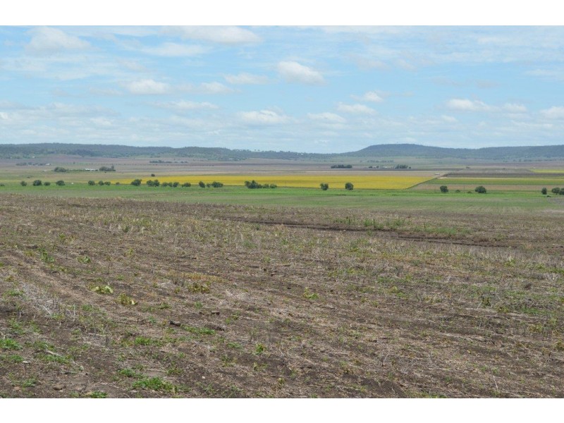 1859 Pittsworth-Felton Road, Felton QLD 4358