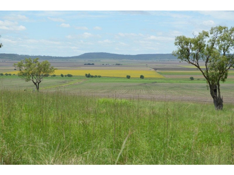 1859 Pittsworth-Felton Road, Felton QLD 4358