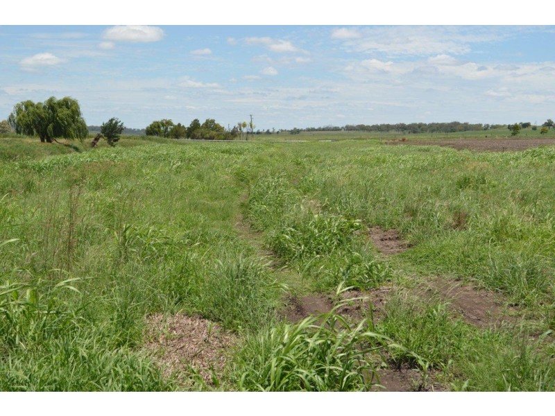 1859 Pittsworth-Felton Road, Felton QLD 4358