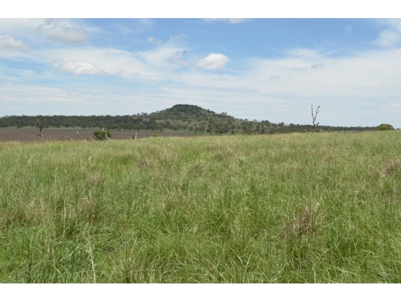 1859 Pittsworth-Felton Road, Felton QLD 4358