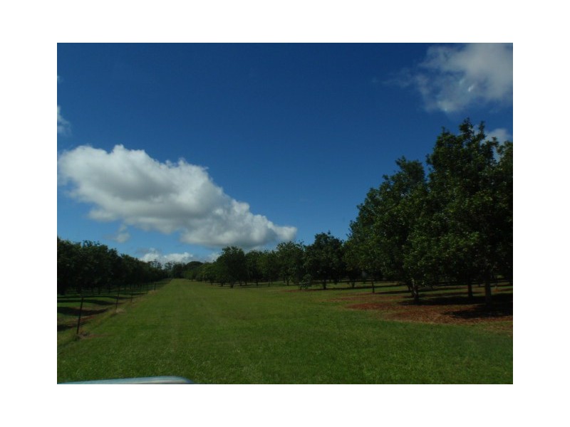 157 Blackbutt Crows Nest Road, Blackbutt South QLD 4306