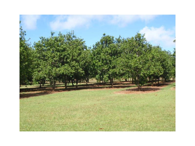 157 Blackbutt Crows Nest Road, Blackbutt South QLD 4306