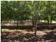 157 Blackbutt Crows Nest Road, Blackbutt South QLD 4306