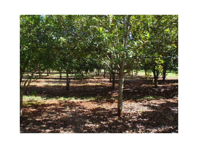 157 Blackbutt Crows Nest Road, Blackbutt South QLD 4306