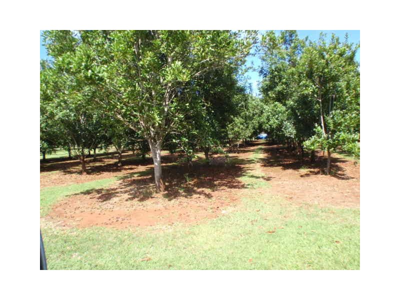 157 Blackbutt Crows Nest Road, Blackbutt South QLD 4306