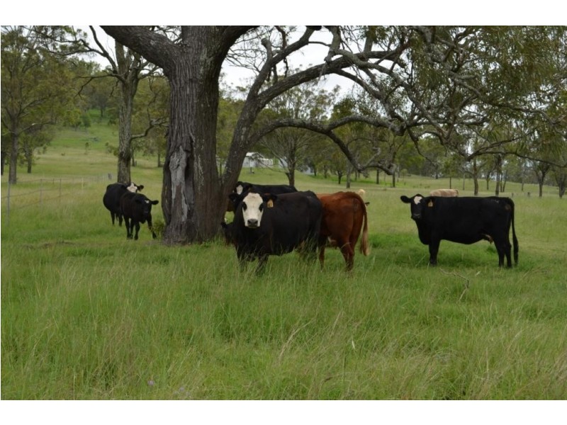 602 Allens Road, Ramsay QLD 4358