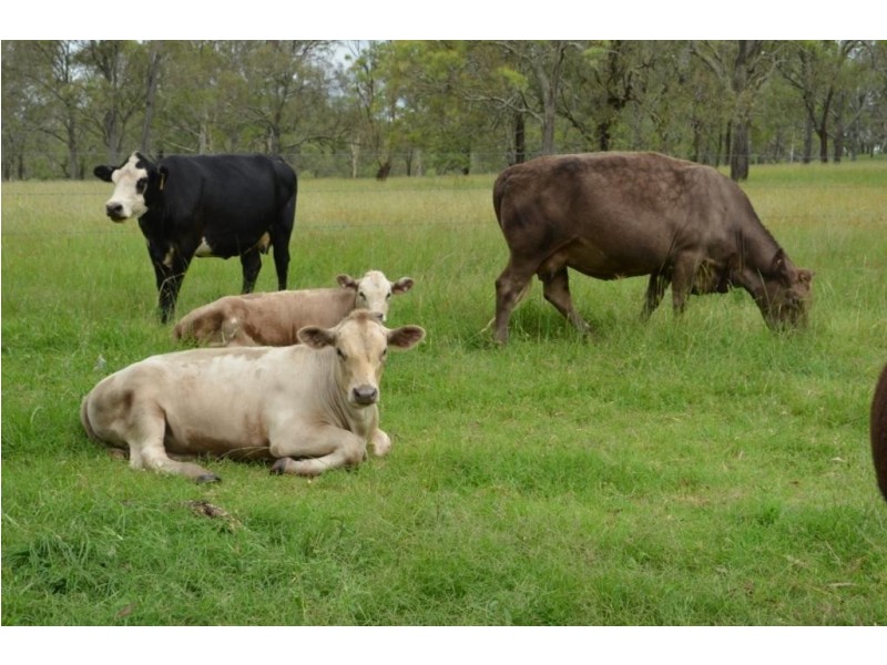 602 Allens Road, Ramsay QLD 4358