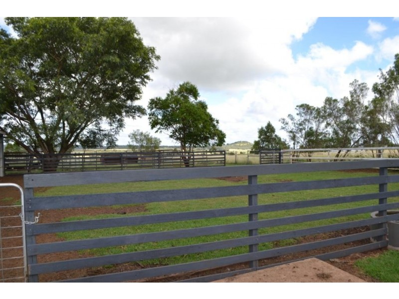 441 Southbrook-Linthorpe Valley Road, Linthorpe QLD 4356