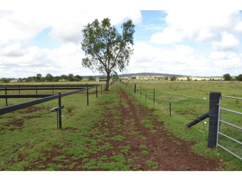 441 Southbrook-Linthorpe Valley Road, Linthorpe QLD 4356