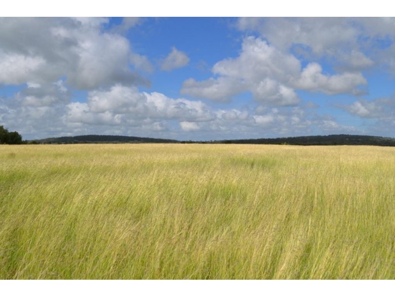 441 Southbrook-Linthorpe Valley Road, Linthorpe QLD 4356