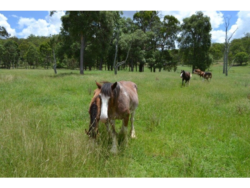 406 Reushle Road, Geham QLD 4352