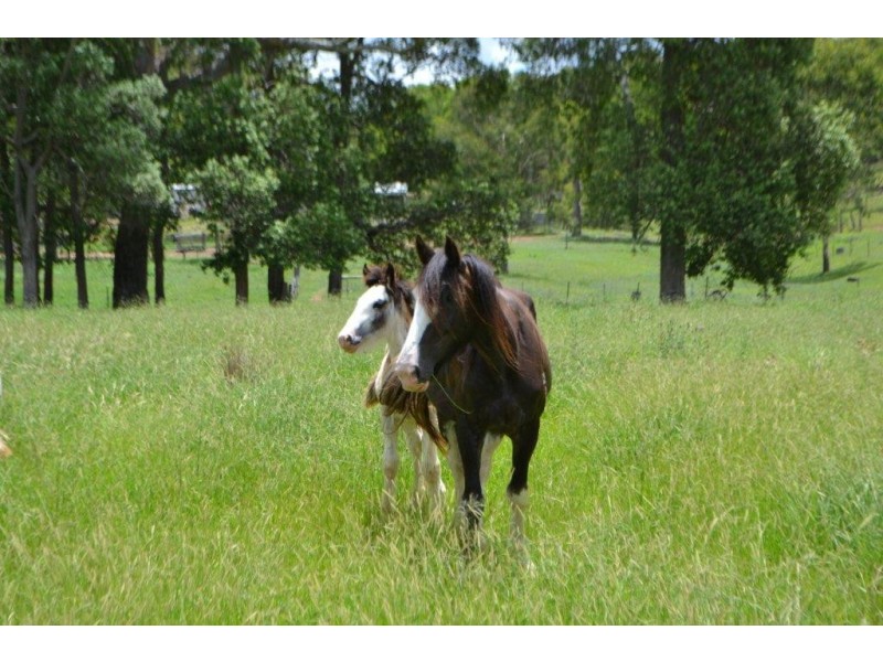 406 Reushle Road, Geham QLD 4352