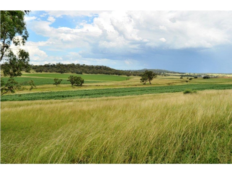 309 Avondale Road, Pittsworth QLD 4356