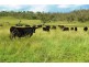 309 Avondale Road, Pittsworth QLD 4356