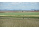 309 Avondale Road, Pittsworth QLD 4356