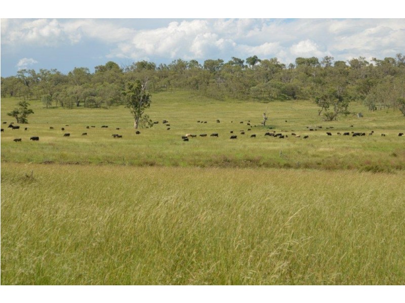 309 Avondale Road, Pittsworth QLD 4356