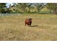 0 Dunnemanns Road, Bergen QLD 4353