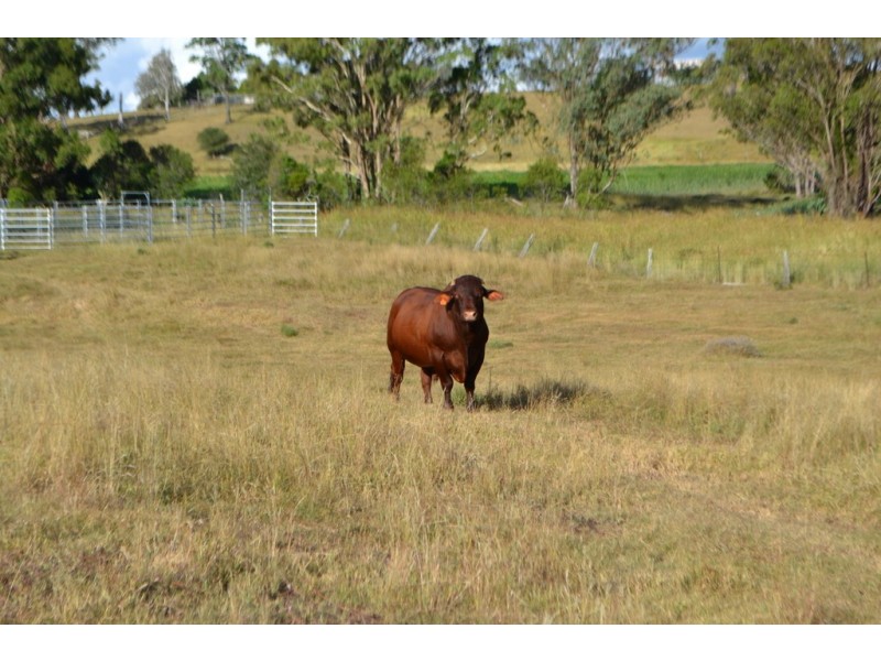 0 Dunnemanns Road, Bergen QLD 4353