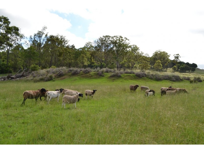 139 Groomsville Road, Groomsville QLD 4352