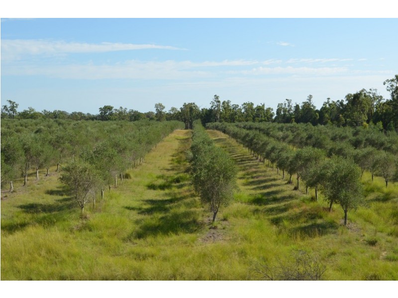 121 Spiers Creek Road, Stonehenge QLD 4357
