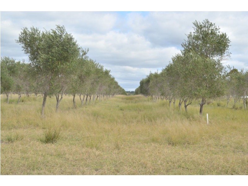 121 Spiers Creek Road, Stonehenge QLD 4357