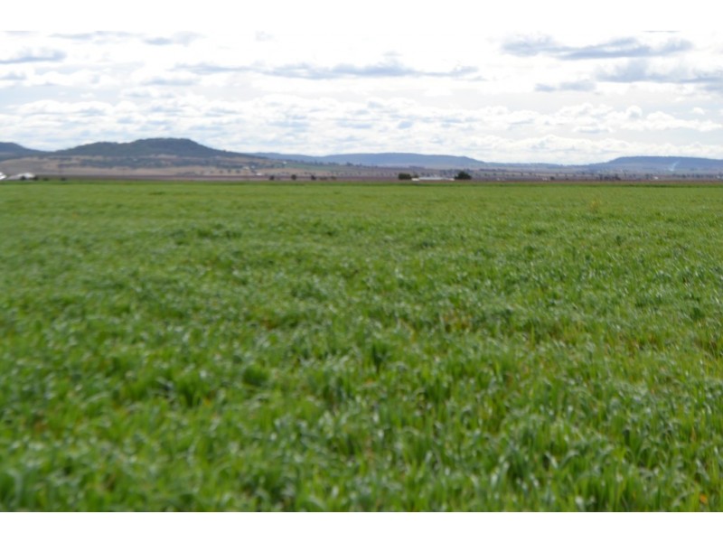 0 Dungannon Road, Elphinstone QLD 4361