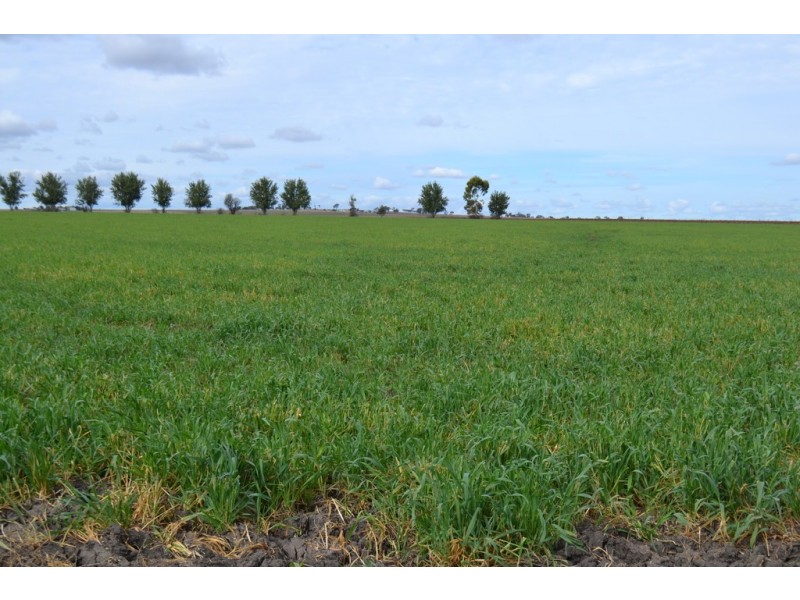 0 Dungannon Road, Elphinstone QLD 4361
