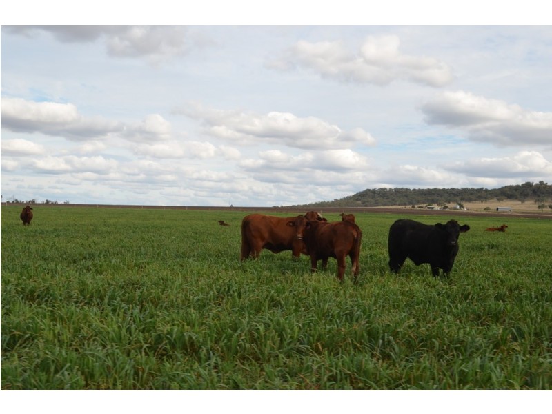 525 Holley Road, Mount Molar QLD 4361