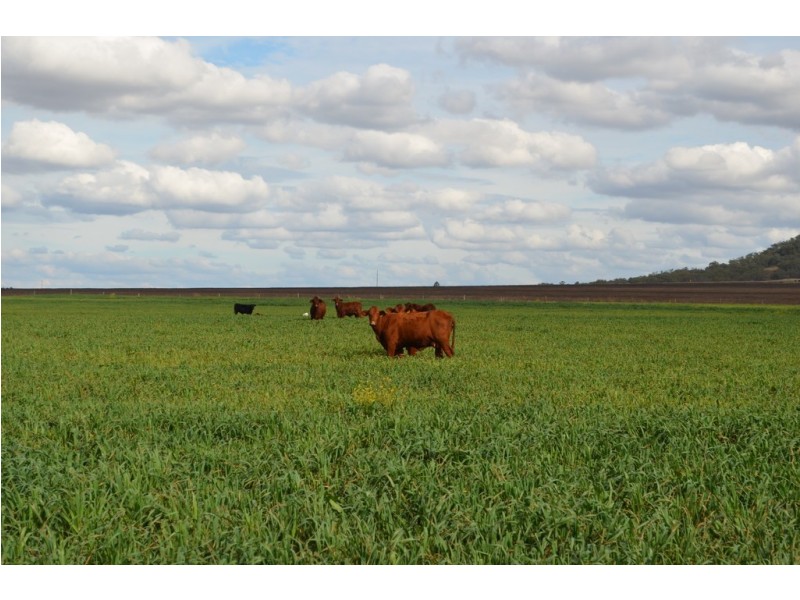 525 Holley Road, Mount Molar QLD 4361