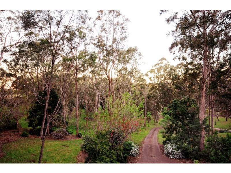 11 Dippel Street, Middle Ridge QLD 4350